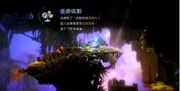 精灵与萤火意志泉源与林地图文攻略