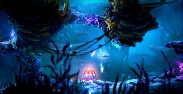 精灵与萤火意志光之池图文攻略