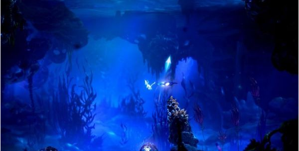 精灵与萤火意志光之池图文攻略