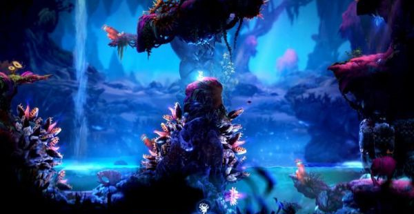 精灵与萤火意志光之池图文攻略