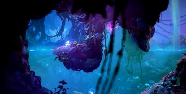 精灵与萤火意志光之池图文攻略