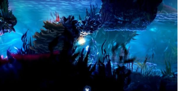 精灵与萤火意志光之池图文攻略