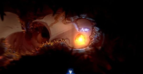 精灵与萤火意志狂风荒漠图文攻略