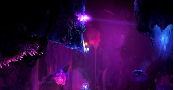 精灵与萤火意志灵树之末图文攻略