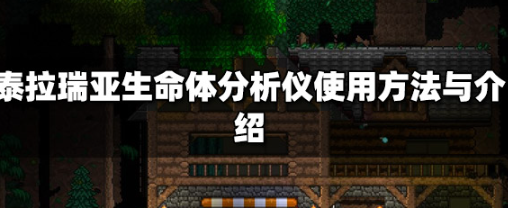 泰拉瑞亚生命体分析仪怎么用