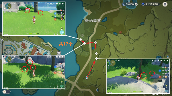 原神小灯草采集位置在哪