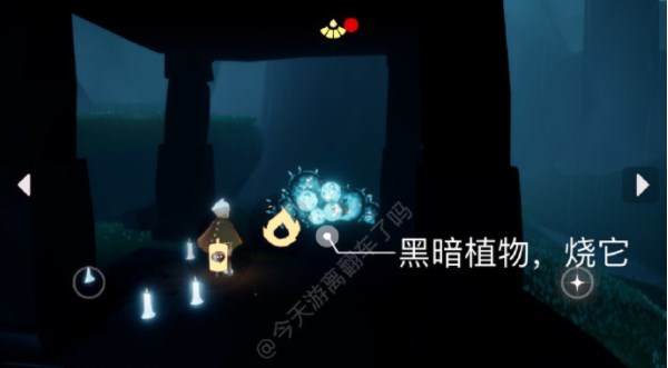 光遇4.10每日任务怎么做