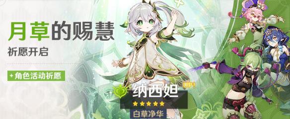 原神3.6妮露要不要抽