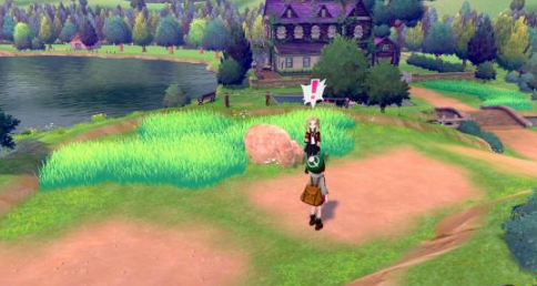 宝可梦剑盾乐天河童单打怎么配招