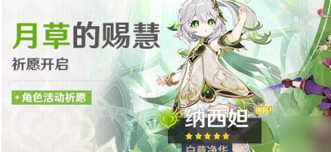 原神3.6妮露和纳西妲抽哪个好