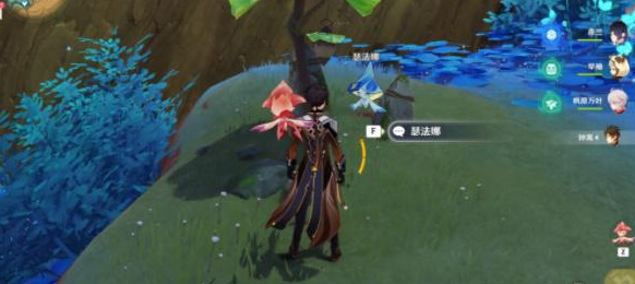 原神3.6版本净觉花位置在哪