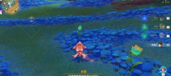 原神3.6版本净觉花位置在哪