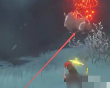 原神冷鲜肉在哪获得