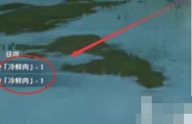 原神冷鲜肉在哪获得