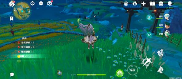 原神草神大世界采集技巧有哪些