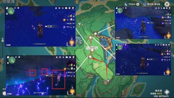 原神鸣草采集路线怎么规划