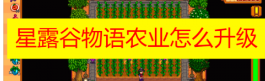 星露谷物语农业怎么快速提升