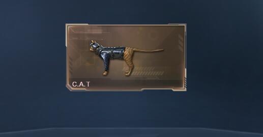 穿越火线生化大赏问题有哪些