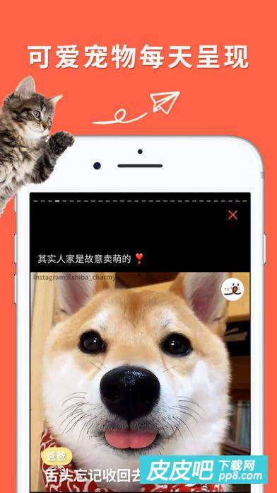 一只猫影视安卓版下载 268350-202004232134465ea209f69c276.jpg